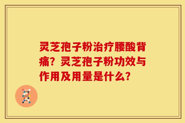 灵芝孢子粉治疗腰酸背痛?灵芝孢子粉功效与作用及用量是什么?