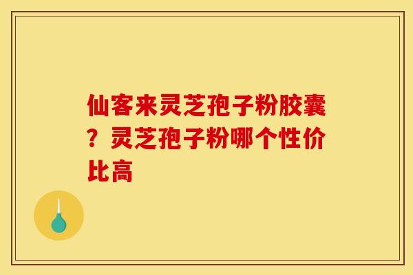 仙客来灵芝孢子粉胶囊?灵芝孢子粉哪个性价比高