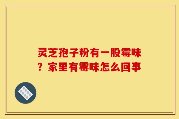 灵芝孢子粉有一股霉味?家里有霉味怎么回事