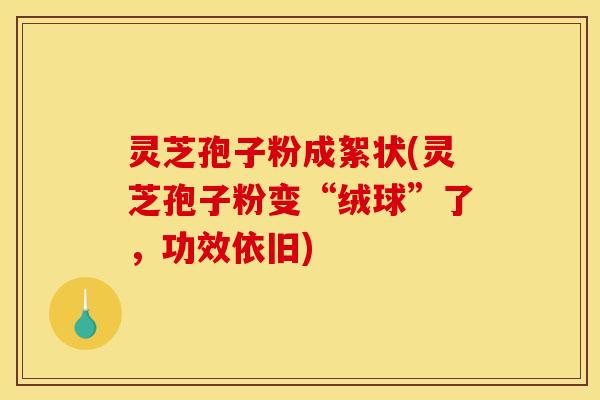 灵芝孢子粉成絮状(灵芝孢子粉变“绒球”了,功效依旧)