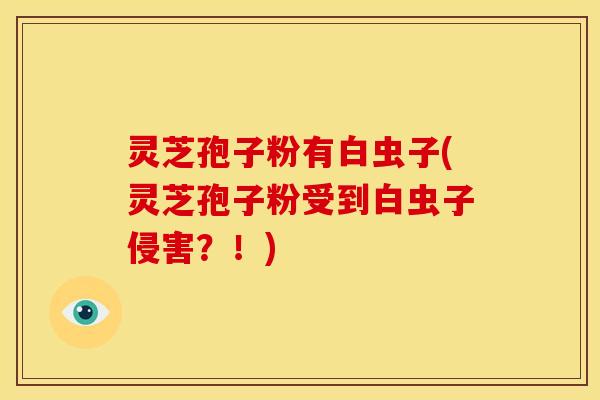 灵芝孢子粉有白虫子(灵芝孢子粉受到白虫子侵害?!)