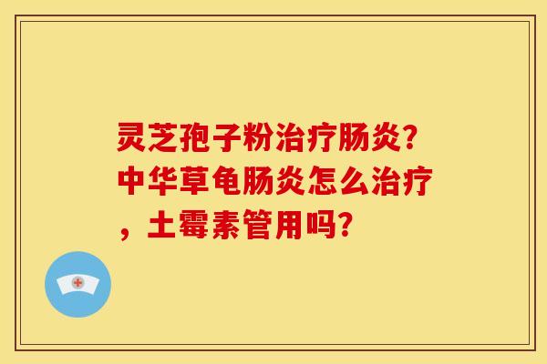 灵芝孢子粉治疗肠炎?中华草龟肠炎怎么治疗,土霉素管用吗?