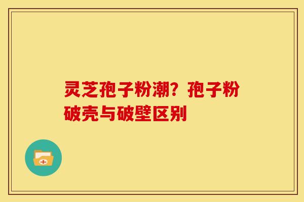 灵芝孢子粉潮?孢子粉破壳与破壁区别