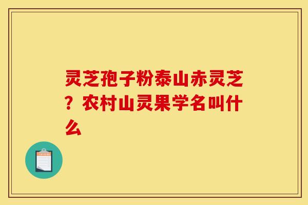 灵芝孢子粉泰山赤灵芝？农村山灵果学名叫什么