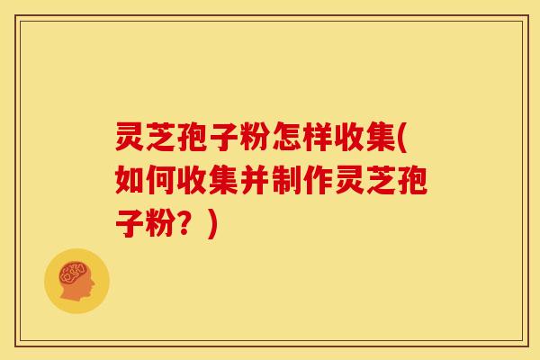 灵芝孢子粉怎样收集(如何收集并制作灵芝孢子粉?)