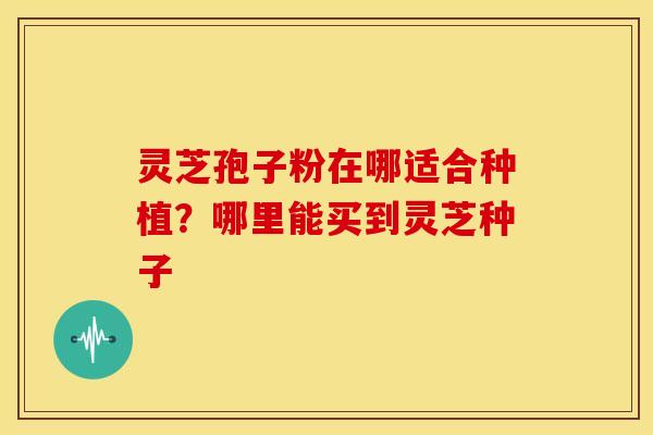 灵芝孢子粉在哪适合种植?哪里能买到灵芝种子