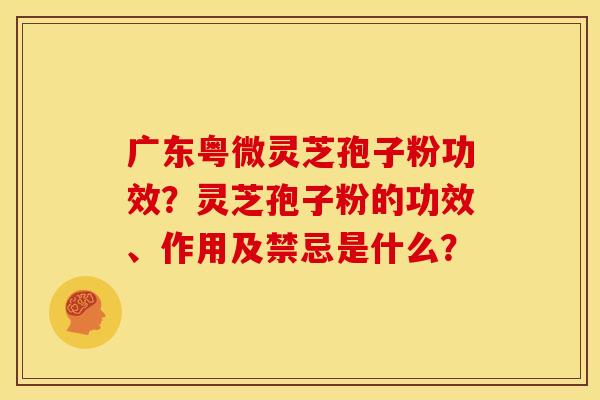 广东粤微灵芝孢子粉功效?灵芝孢子粉的功效、作用及禁忌是什么?