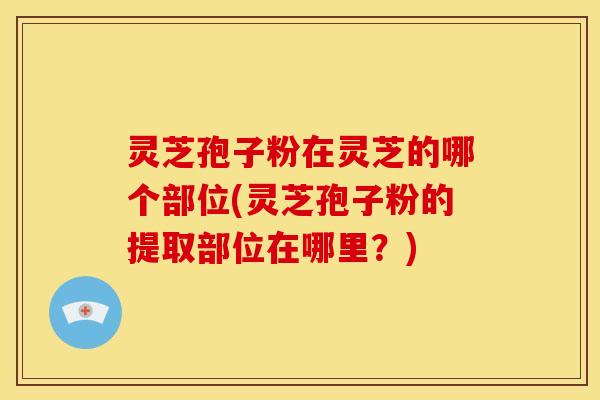 灵芝孢子粉在灵芝的哪个部位(灵芝孢子粉的提取部位在哪里?)