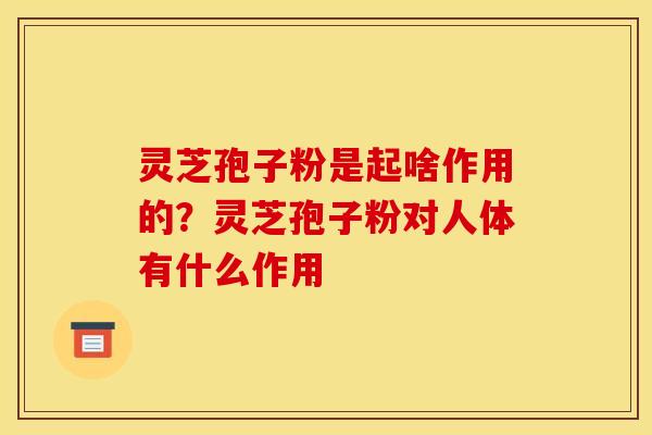 灵芝孢子粉是起啥作用的?灵芝孢子粉对人体有什么作用