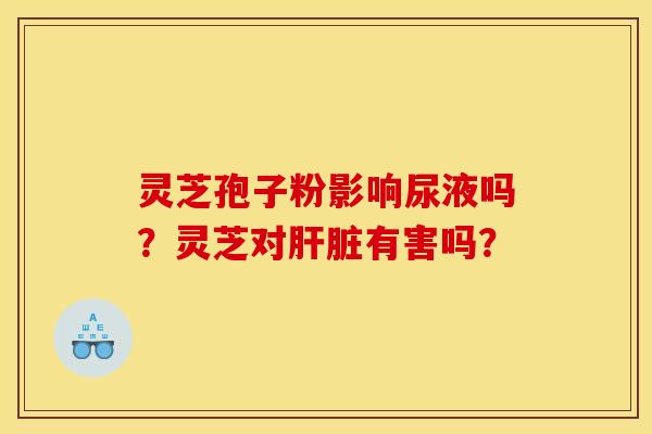 灵芝孢子粉影响尿液吗？灵芝对肝脏有害吗？