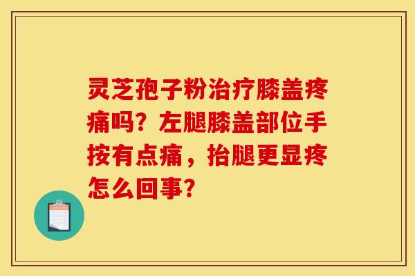 灵芝孢子粉治疗膝盖疼痛吗？左腿膝盖部位手按有点痛，抬腿更显疼怎么回事？