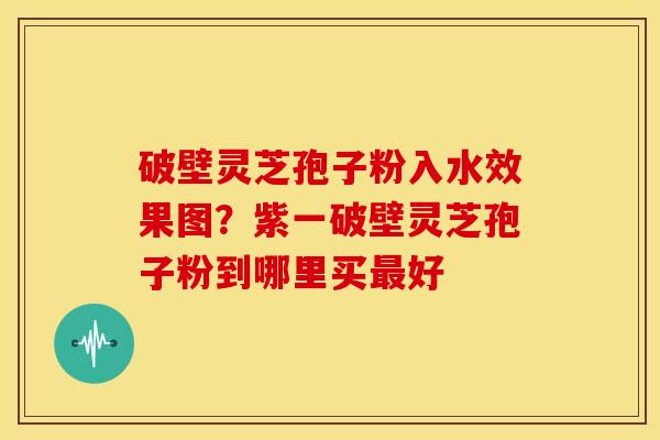 破壁灵芝孢子粉入水效果图?紫一破壁灵芝孢子粉到哪里买最好