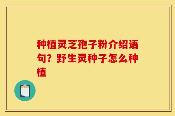 种植灵芝孢子粉介绍语句?野生灵种子怎么种植