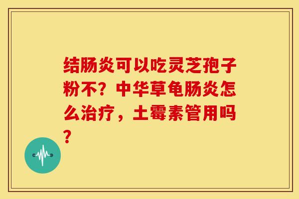 结肠炎可以吃灵芝孢子粉不?中华草龟肠炎怎么治疗,土霉素管用吗?