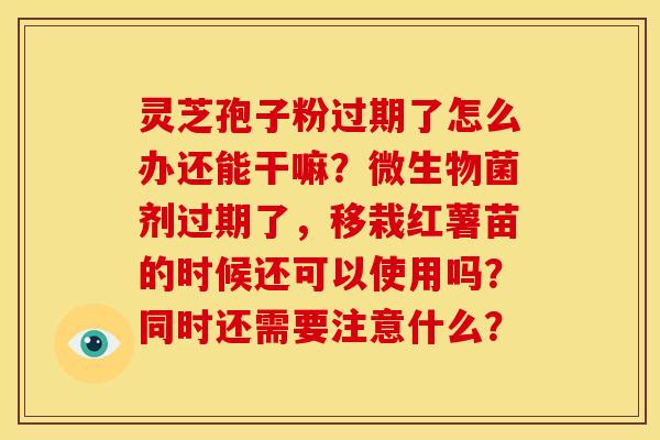 灵芝孢子粉过期了怎么办还能干嘛?微生物菌剂过期了,移栽红薯苗的时候还可以使用吗?同时还需要注意什么?