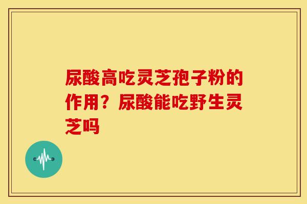尿酸高吃灵芝孢子粉的作用?尿酸能吃野生灵芝吗