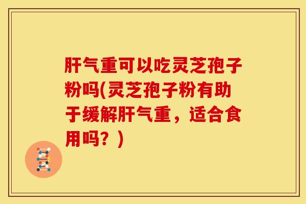 肝气重可以吃灵芝孢子粉吗(灵芝孢子粉有助于缓解肝气重，适合食用吗？)