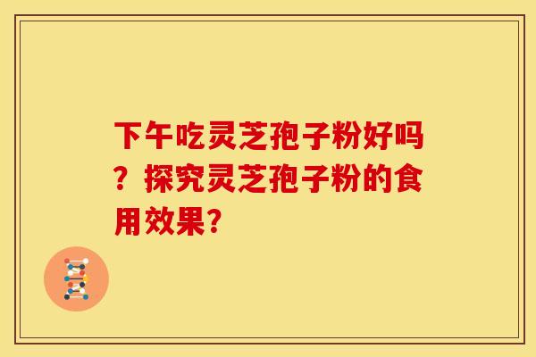 下午吃灵芝孢子粉好吗?探究灵芝孢子粉的食用效果?
