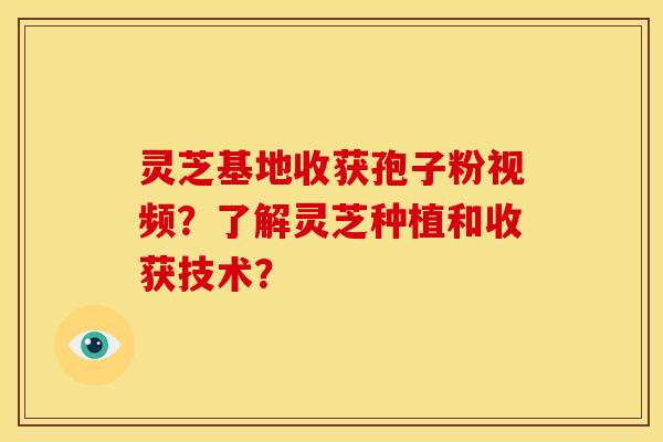 灵芝基地收获孢子粉视频？了解灵芝种植和收获技术？