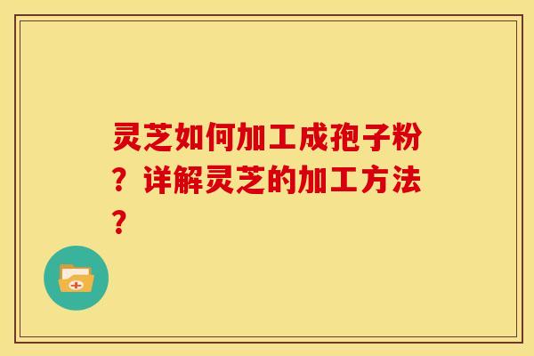 灵芝如何加工成孢子粉?详解灵芝的加工方法?