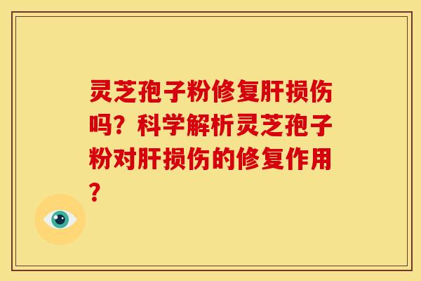 灵芝孢子粉修复肝损伤吗？科学解析灵芝孢子粉对肝损伤的修复作用？