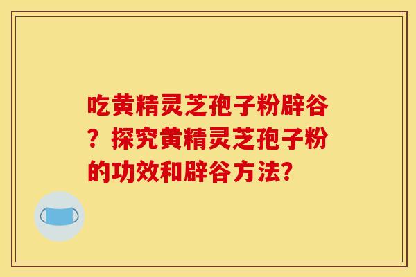 吃黄精灵芝孢子粉辟谷？探究黄精灵芝孢子粉的功效和辟谷方法？