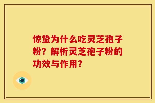 惊蛰为什么吃灵芝孢子粉?解析灵芝孢子粉的功效与作用?