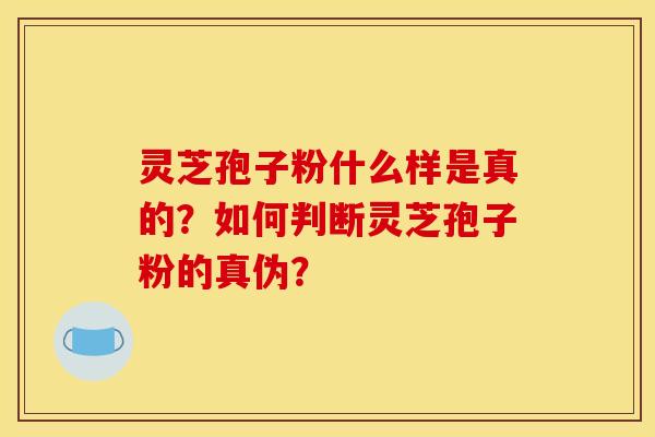 灵芝孢子粉什么样是真的?如何判断灵芝孢子粉的真伪?
