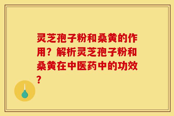 灵芝孢子粉和桑黄的作用?解析灵芝孢子粉和桑黄在中医药中的功效?