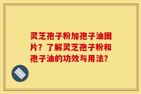 灵芝孢子粉加孢子油图片?了解灵芝孢子粉和孢子油的功效与用法?