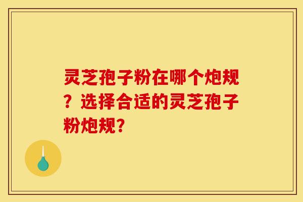 灵芝孢子粉在哪个炮规?选择合适的灵芝孢子粉炮规?