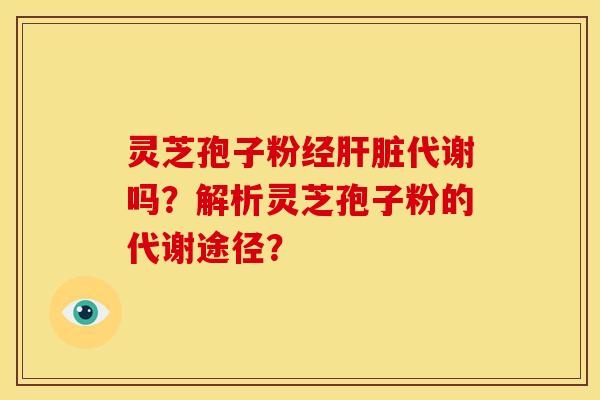 灵芝孢子粉经肝脏代谢吗?解析灵芝孢子粉的代谢途径?