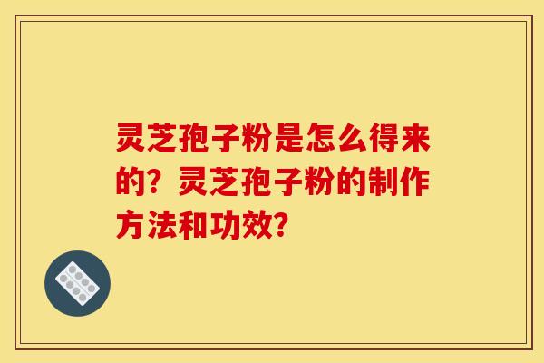 灵芝孢子粉是怎么得来的?灵芝孢子粉的制作方法和功效?