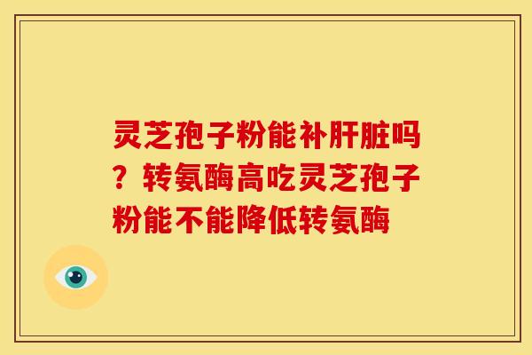 灵芝孢子粉能补肝脏吗?转氨酶高吃灵芝孢子粉能不能降低转氨酶