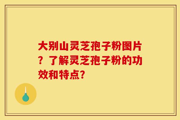 大别山灵芝孢子粉图片?了解灵芝孢子粉的功效和特点?