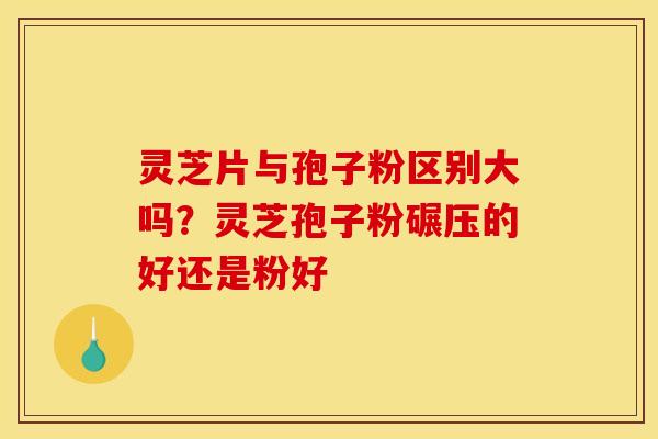 灵芝片与孢子粉区别大吗?灵芝孢子粉碾压的好还是粉好