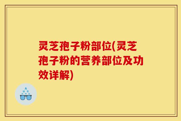 灵芝孢子粉部位(灵芝孢子粉的营养部位及功效详解)