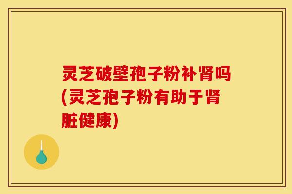 灵芝破壁孢子粉补肾吗(灵芝孢子粉有助于肾脏健康)