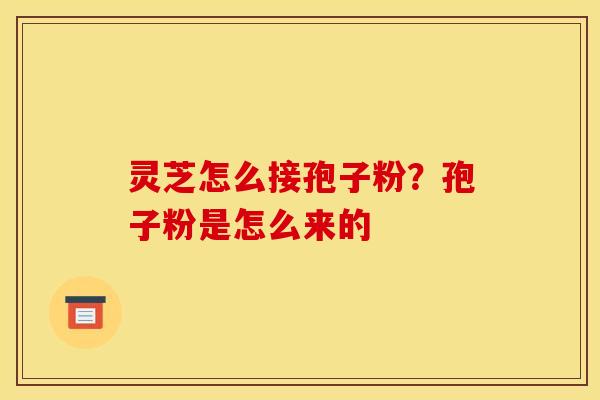 灵芝怎么接孢子粉?孢子粉是怎么来的