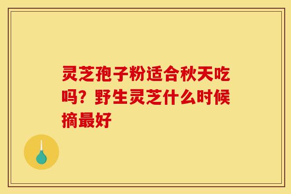 灵芝孢子粉适合秋天吃吗?野生灵芝什么时候摘最好