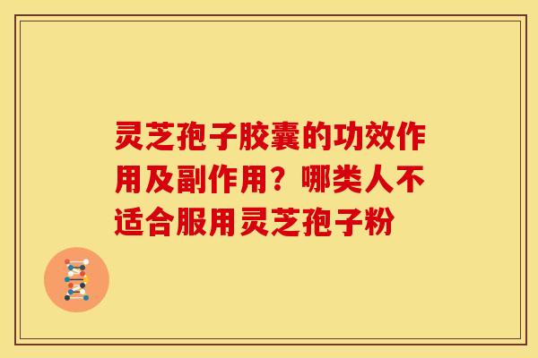 灵芝孢子胶囊的功效作用及副作用?哪类人不适合服用灵芝孢子粉