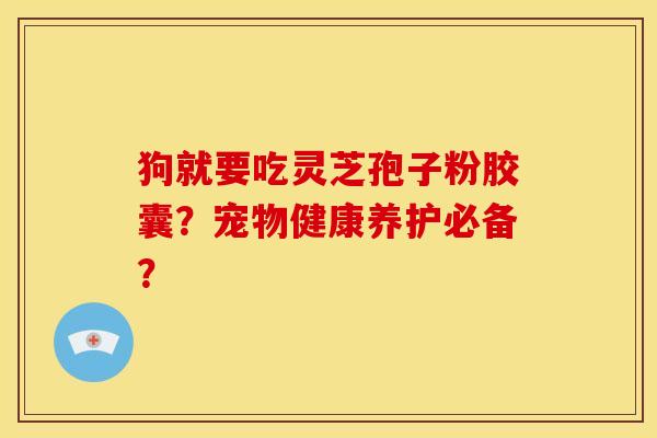 狗就要吃灵芝孢子粉胶囊?宠物健康养护必备?