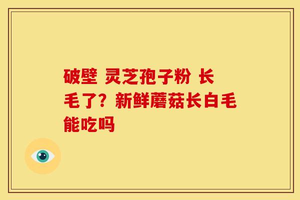破壁 灵芝孢子粉 长毛了？新鲜蘑菇长白毛能吃吗