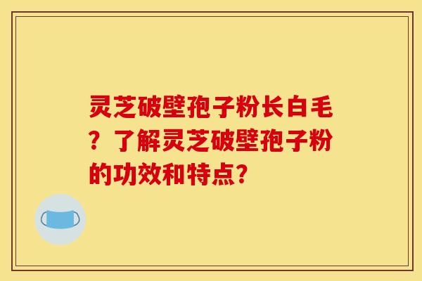 灵芝破壁孢子粉长白毛?了解灵芝破壁孢子粉的功效和特点?