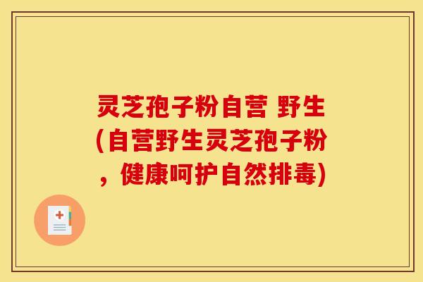 灵芝孢子粉自营 野生(自营野生灵芝孢子粉,健康呵护自然排毒)