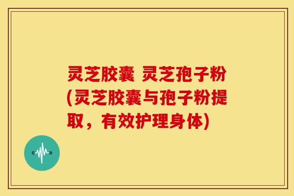 灵芝胶囊 灵芝孢子粉(灵芝胶囊与孢子粉提取，有效护理身体)