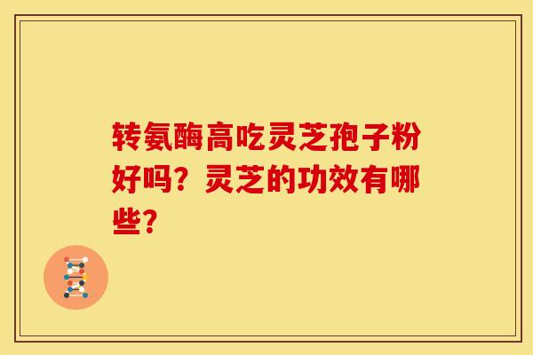 转氨酶高吃灵芝孢子粉好吗?灵芝的功效有哪些?