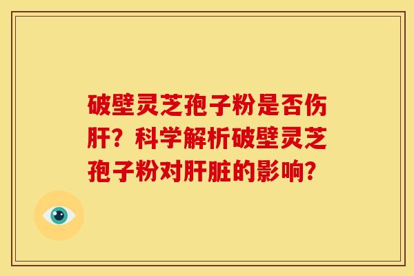 破壁灵芝孢子粉是否伤肝?科学解析破壁灵芝孢子粉对肝脏的影响?