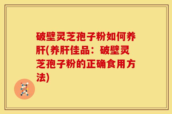 破壁灵芝孢子粉如何养肝(养肝佳品:破壁灵芝孢子粉的正确食用方法)