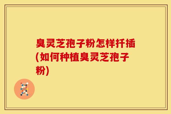 臭灵芝孢子粉怎样扦插(如何种植臭灵芝孢子粉)